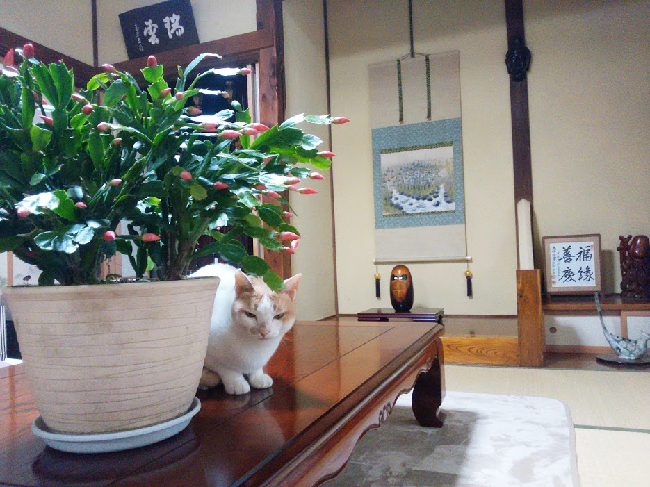 日光堂マガジン